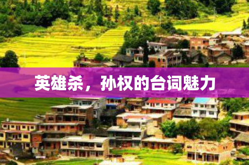 孙权的台词魅力图片