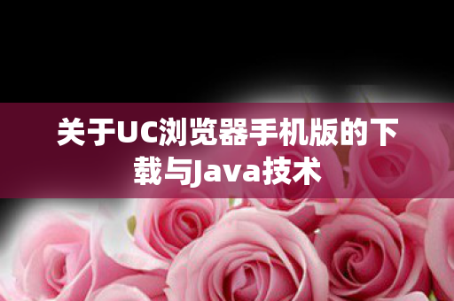 关于UC浏览器手机版的下载与Java技术图片