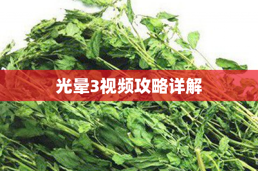光晕3视频攻略详解图片