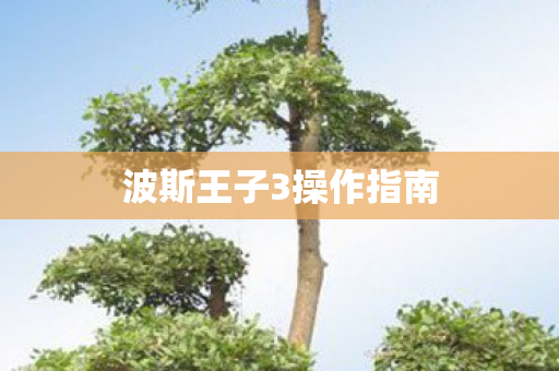 波斯王子3操作指南图片