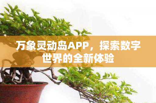 探索数字世界的全新体验图片