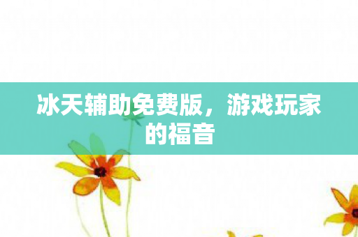 冰天辅助免费版图片