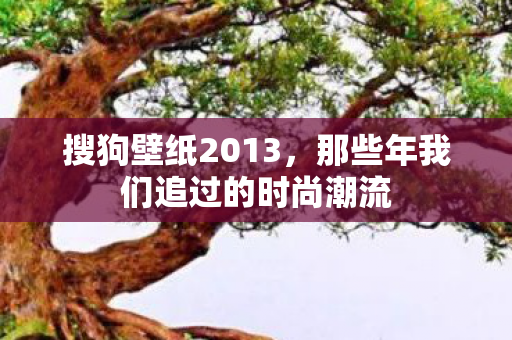 那些年我们追过的时尚潮流图片