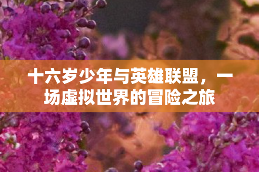 一场虚拟世界的冒险之旅图片