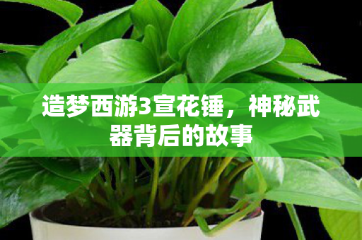 神秘武器背后的故事图片