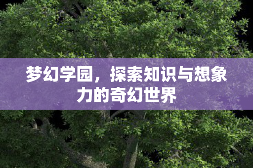 探索知识与想象力的奇幻世界图片