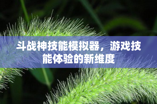游戏技能体验的新维度图片