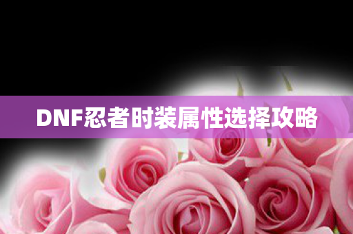 DNF忍者时装属性选择攻略图片