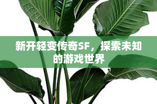 探索未知的游戏世界图片
