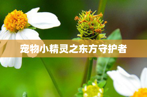 宠物小精灵之东方守护者图片