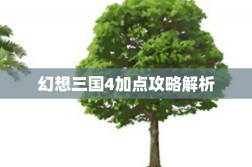 幻想三国4加点攻略解析图片