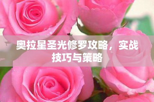奥拉星圣光修罗攻略图片