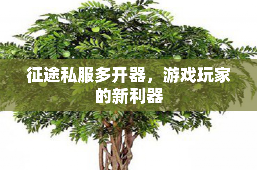 游戏玩家的新利器图片
