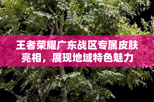 王者荣耀广东战区专属皮肤亮相图片