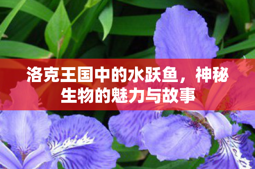 神秘生物的魅力与故事图片