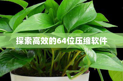 探索高效的64位压缩软件图片