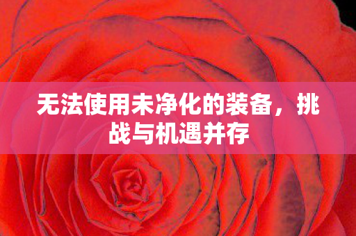 无法使用未净化的装备图片