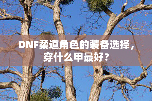 DNF柔道角色的装备选择图片