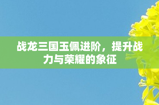 提升战力与荣耀的象征图片