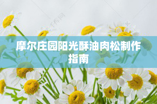 摩尔庄园阳光酥油肉松制作指南图片