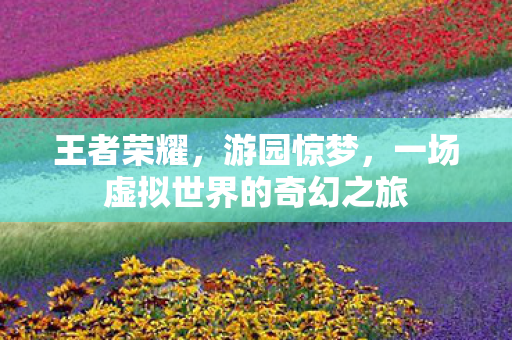 一场虚拟世界的奇幻之旅图片