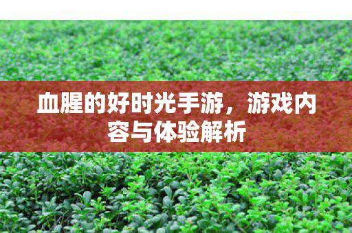 游戏内容与体验解析图片