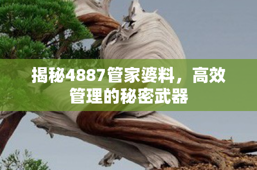 揭秘4887管家婆料图片