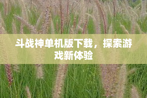 斗战神单机版下载图片