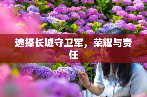 选择长城守卫军图片