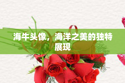 海洋之美的独特展现图片