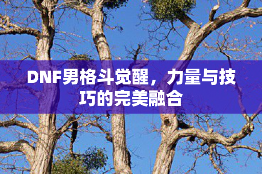 力量与技巧的完美融合图片