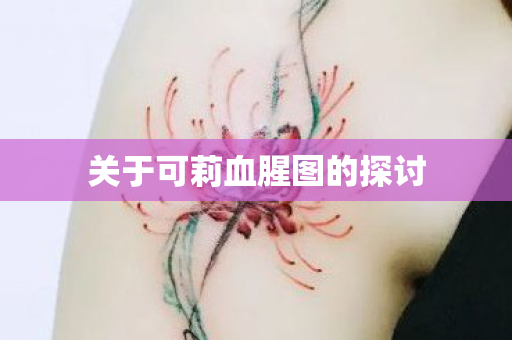 关于可莉血腥图的探讨图片