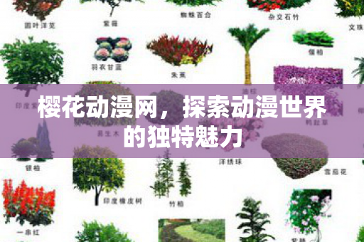 探索动漫世界的独特魅力图片