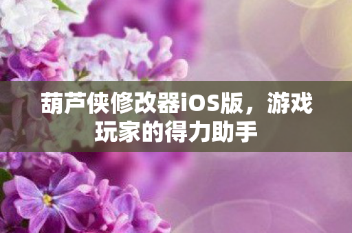葫芦侠修改器iOS版图片