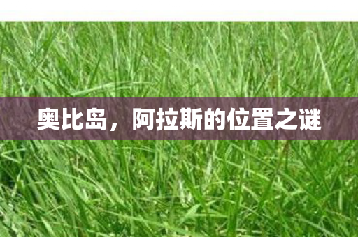 阿拉斯的位置之谜图片