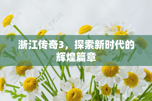 探索新时代的辉煌篇章图片