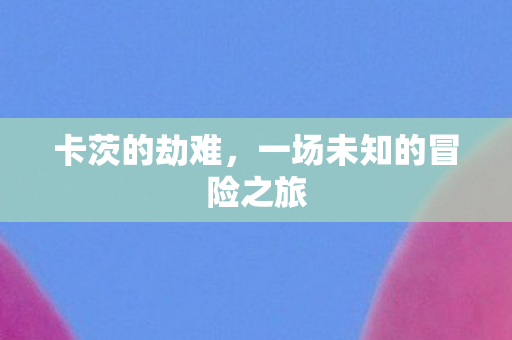 一场未知的冒险之旅图片