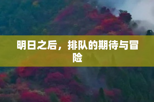 排队的期待与冒险图片