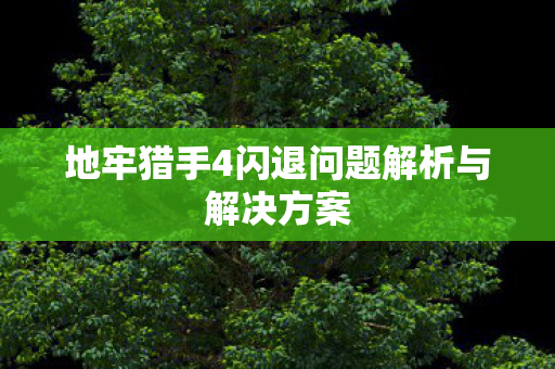 地牢猎手4闪退问题解析与解决方案图片
