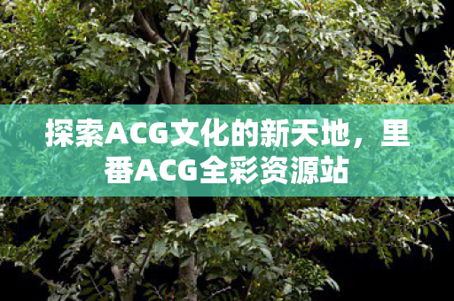 探索ACG文化的新天地图片