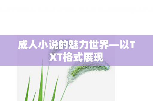 成人小说的魅力世界图片
