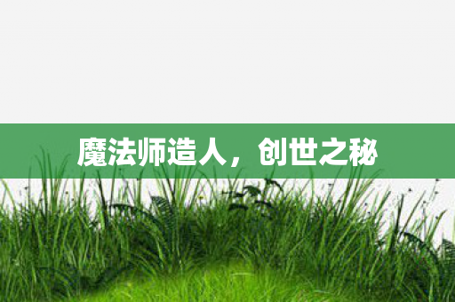 魔法师造人图片