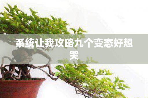 系统让我攻略九个变态好想哭图片