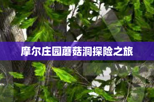 摩尔庄园蘑菇洞探险之旅图片