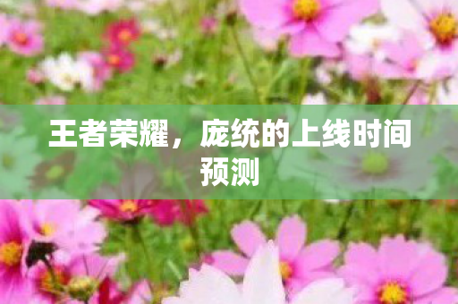 庞统的上线时间预测图片
