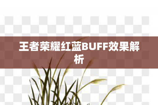 王者荣耀红蓝BUFF效果解析图片