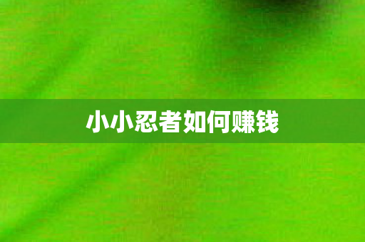 小小忍者如何赚钱图片