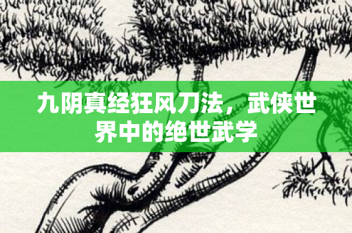 武侠世界中的绝世武学图片