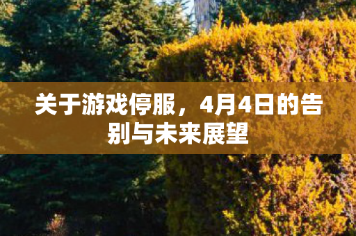 4月4日的告别与未来展望图片