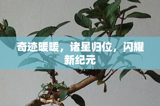 闪耀新纪元图片